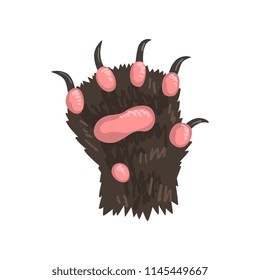 Grizzly bear animal paw vector Illustration on a white background