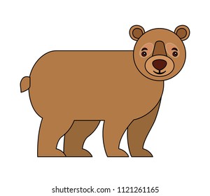 grizzly bear animal wildlife image