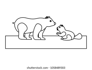 grizzly bear and beaver wildlife side view