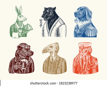 Grizzly Bear with a beer mug. Octopus sailor and Hare or Rabbit waiter. Dog officer and bird. Black panther and Japanese text means: karate. Fashion animal character. Hand drawn sketch.