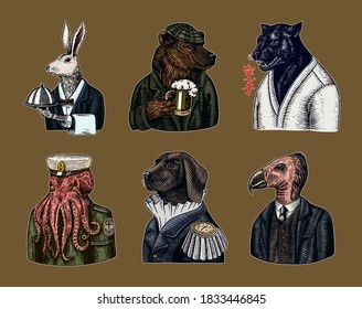 Grizzly Bear with a beer mug. Octopus sailor and Hare or Rabbit waiter. Dog officer and bird. Black panther. Japanese text means: karate. Fashion animal character. Hand drawn sketch.