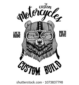 Grizzly bear Big wild bear Biker, motorcycle animal. Hand drawn image for tattoo, emblem, badge, logo, patch, t-shirt