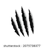 Grizzly bear claw marks and scratches, vector torn cracks of wild animal. Grizzly bear paw marks or monster beast claws with sharp fissures, damaged breaks and hollow scraps on white background