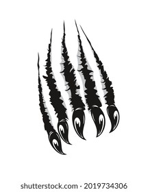 Grizzly bear claw marks scratches. Predator animal, monster or wild beast sharp claws ripping paper or breaking through wall. Halloween vector background with werewolf claws marks