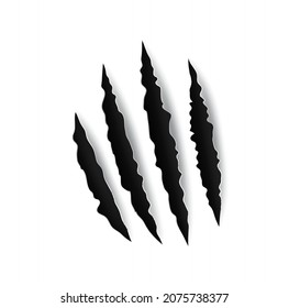 Grizzly bear claw marks and scratches, vector torn cracks of wild animal. Grizzly bear paw marks or monster beast claws with sharp fissures, damaged breaks and hollow scraps on white background