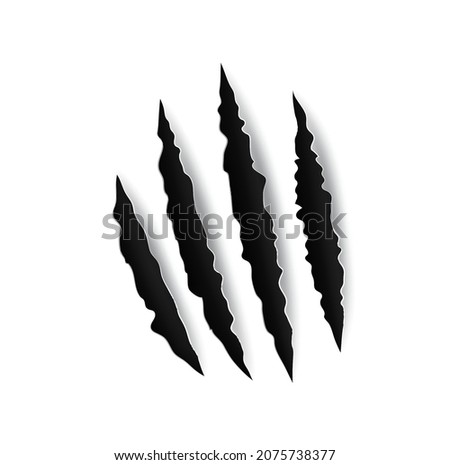 Grizzly bear claw marks and scratches, vector torn cracks of wild animal. Grizzly bear paw marks or monster beast claws with sharp fissures, damaged breaks and hollow scraps on white background