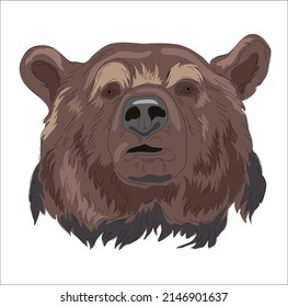 Grizzly bear close-up. Print for t-shirt, sweatshirt. Hand drawing style