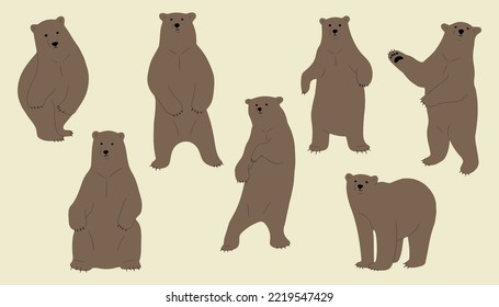 grizzly bear cute 5, vector illutration