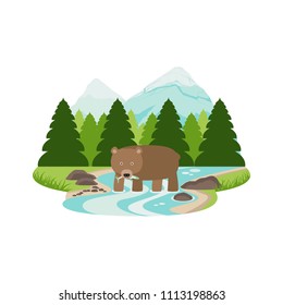 Grizzly Bear eat fish in the River Pine Forest and Mountain Landscape Vector