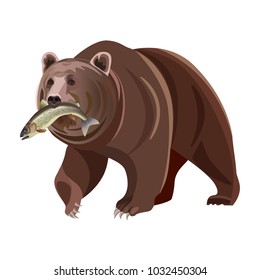 Grizzly bear with fish in mouth. Vector illustration isolated on white background