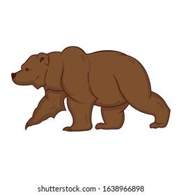 grizzly bear is going side view. Vector illustration isolated on a white background.