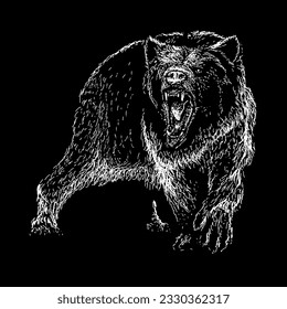 vector de dibujo de la mano del oso pardo aislado sobre fondo negro.