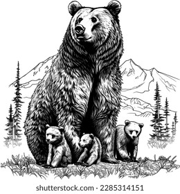 Grizzlybär , handgezeichnete Skizze im Vintage-Gravierstil. Vektorgrafik