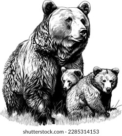 Grizzlybär , handgezeichnete Skizze im Vintage-Gravierstil. Vektorgrafik