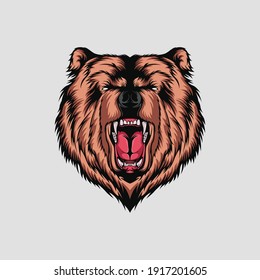 Grizzly bear head vector illustration angry face