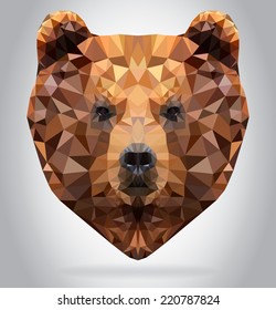 Grizzly Bear head vector isolated, geometric modern illustration