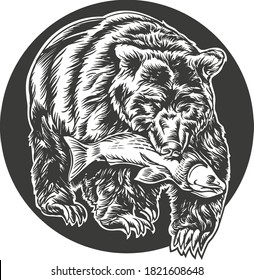 grizzly bear holding fish in teeth stripe logo engraving style vector