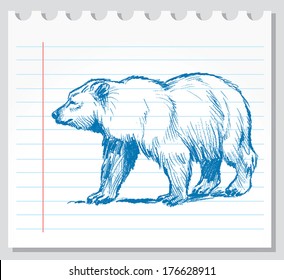 Grizzly bear illustration in black lines  