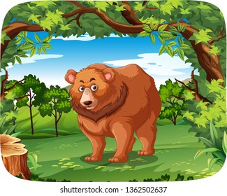 A grizzly bear in jungle illustration