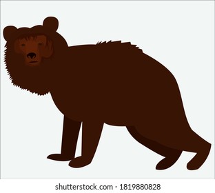 Oso pardo. Concepto de logotipo. Ilustración vectorial.