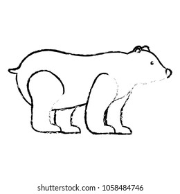 grizzly bear mammal wild side view