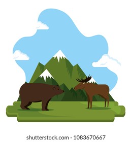 grizzly bear and moose canadian scene