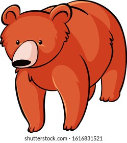 Grizzly bear on white background illustration