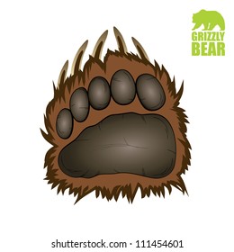 Grizzly Bear Paw - Vector Illustration