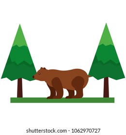 grizzly bear in pine forest scene