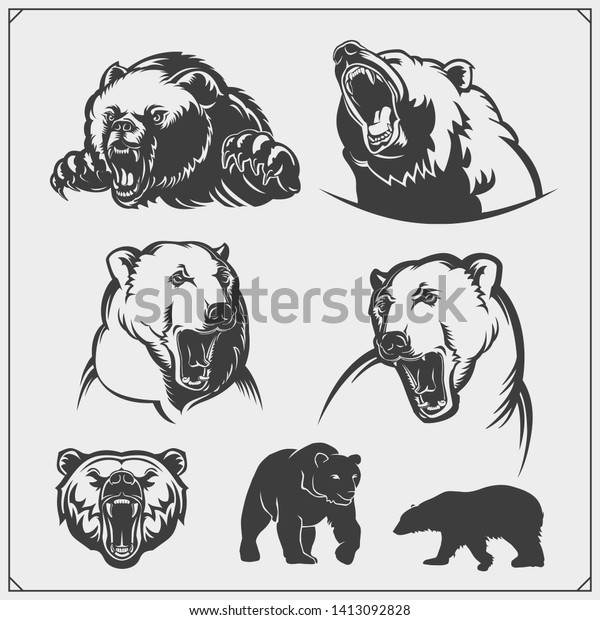 グリズリー クマ ホッキョクグマ 茶色の熊のシルエットとイラスト 熊を持つスポーツクラブのラベル 紋章 デザインエレメント Tシャツのデザインを印刷します のベクター画像素材 ロイヤリティフリー