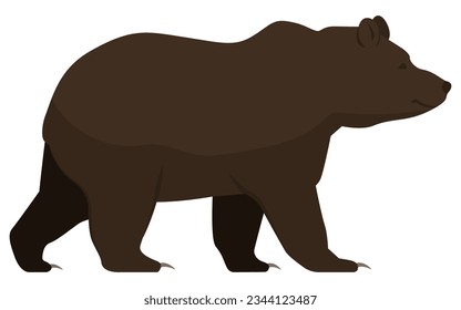 Grizzly bear side view isolated, animals and wildlife concept