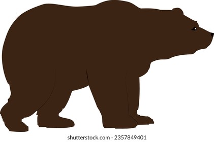 Grizzly bear side view isolated, animals and wildlife concept
