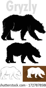 Grizzly bear silhouette, Vector line art of wild animal, A carnivorous big mammal
