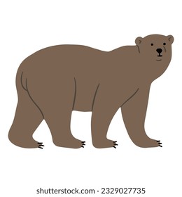 Grizzly Bear Single 2, vector illutration