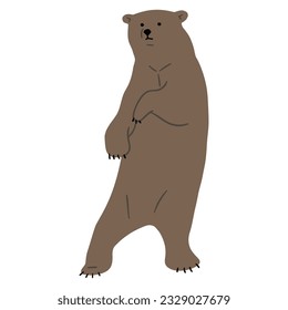 Grizzly Bear Single 27, vector illutration