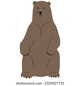 Grizzly Bear Single 29, vector illutration