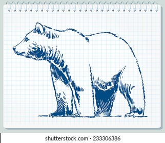 Grizzly Bear Sketch