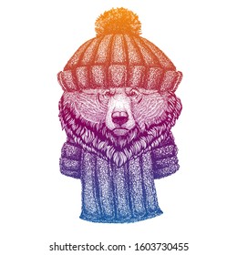 Grizzly bear. Ski, skier animal wearing woolen knitted hat. Christmas time. Cartoon character for little children. Kids print for shirts. Nursery decor.
