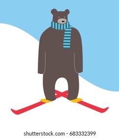A grizzly bear skiing down a mountain.