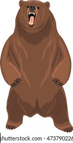 Grizzly Bear. Vector