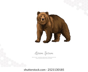 Grizzly Bear vector art for wall decoration. realistic animal images. Hand drawn wild animal isolated. for room decoration, events, etc