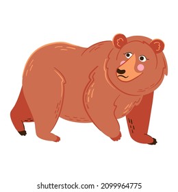 Grizzly bear vector illustration. Forest wild animal 