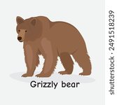 Grizzly Bear Vector Illustration: Powerful Animal