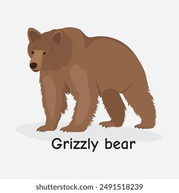 Grizzly Bear Vector Illustration: Powerful Animal