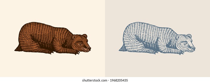 Grizzly bear in vintage style. Brown wild animal. Side view. Sleeping beast. Hand drawn engraved old sketch for T-shirt, tattoo or label or poster. Vector illustration.