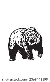 Grizzly bear walking on white background ,vector illustration. 