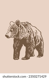 Grizzly bear walking ,vector vintage illustration. 