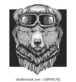 Grizzly bear wearing aviator hat. Print for children clothes, tee, t-shirt. Pilot wild animal