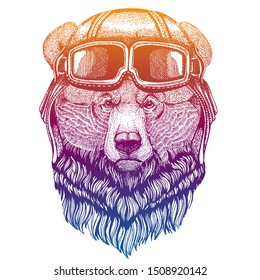 Grizzly bear wearing vintage aviator leather helmet. Image in retro style. Flying club or motorcycle biker emblem. Vector illustration, print for tee shirt, badge logo patch