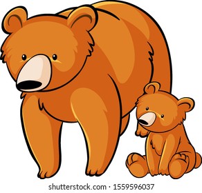 Los osos pardos en la ilustración de fondo blanco